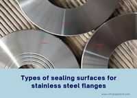 //ijrorwxhikjmlo5p-static.micyjz.com/cloud/lpBpjKlqlnSRokmkroipiq/Types-of-sealing-surfaces-for-stainless-steel-flanges.png